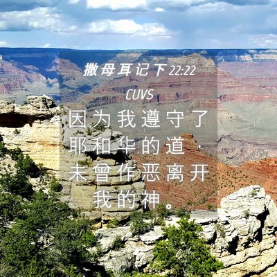 Picture 04 - 撒 母 耳 记 下 22:22 CUVS - 因 为 我 遵 守 了 耶 和 华 的 道 ， - Bible Verse Picture