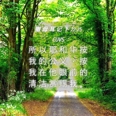 Picture 04 - 撒 母 耳 记 下 22:25 CUVS - 所 以 耶 和 华 按 我 的 公 义 ， 按 - Bible Verse Picture