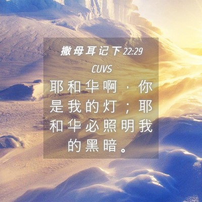 Picture 04 - 撒 母 耳 记 下 22:29 CUVS - 耶 和 华 啊 ， 你 是 我 的 灯 ； 耶 - Bible Verse Picture
