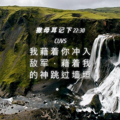 Picture 04 - 撒 母 耳 记 下 22:30 CUVS - 我 藉 着 你 冲 入 敌 军 ， 藉 着 我 - Bible Verse Picture