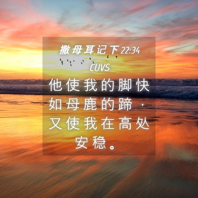 Picture 04 - 撒 母 耳 记 下 22:34 CUVS - 他 使 我 的 脚 快 如 母 鹿 的 蹄 ， - Bible Verse Picture