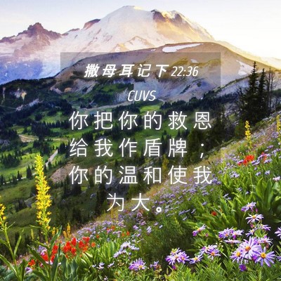 Picture 04 - 撒 母 耳 记 下 22:36 CUVS - 你 把 你 的 救 恩 给 我 作 盾 牌 ； - Bible Verse Picture