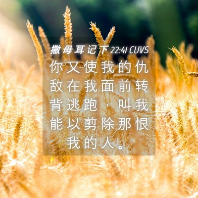 Picture 04 - 撒 母 耳 记 下 22:41 CUVS - 你 又 使 我 的 仇 敌 在 我 面 前 转 - Bible Verse Picture