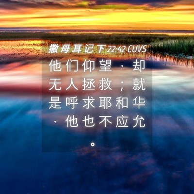 Picture 04 - 撒 母 耳 记 下 22:42 CUVS - 他 们 仰 望 ， 却 无 人 拯 救 ； 就 - Bible Verse Picture
