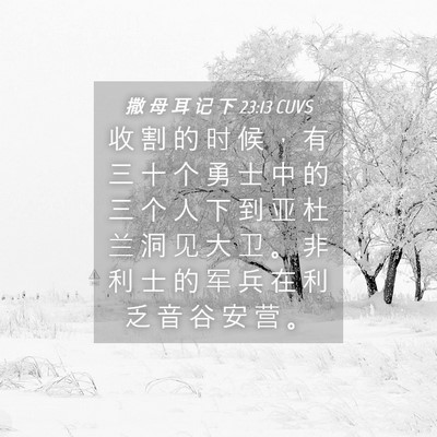 Picture 04 - 撒 母 耳 记 下 23:13 CUVS - 收 割 的 时 候 ， 有 三 十 个 勇 士 - Bible Verse Picture