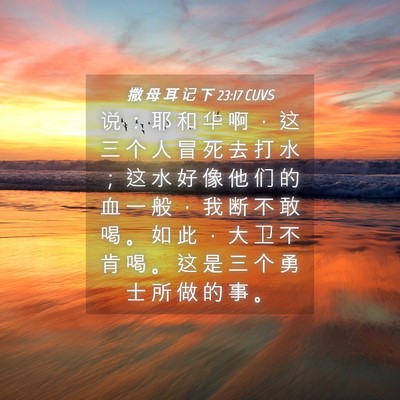 Picture 04 - 撒 母 耳 记 下 23:17 CUVS - 说 ： 耶 和 华 啊 ， 这 三 个 人 冒 - Bible Verse Picture