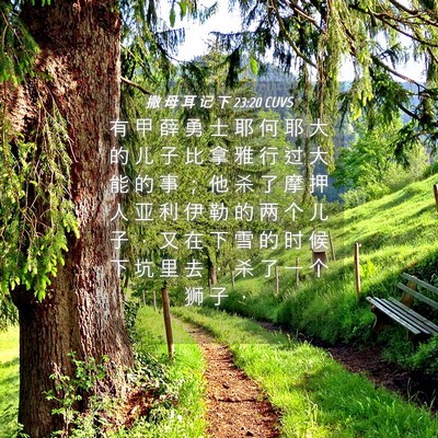 Picture 04 - 撒 母 耳 记 下 23:20 CUVS - 有 甲 薛 勇 士 耶 何 耶 大 的 儿 子 - Bible Verse Picture
