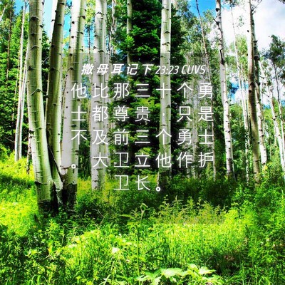 Picture 04 - 撒 母 耳 记 下 23:23 CUVS - 他 比 那 三 十 个 勇 士 都 尊 贵 ， - Bible Verse Picture
