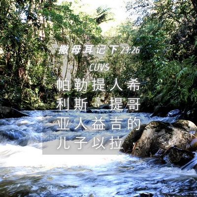 Picture 04 - 撒 母 耳 记 下 23:26 CUVS - 帕 勒 提 人 希 利 斯 ， 提 哥 亚 人 - Bible Verse Picture