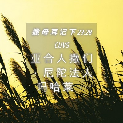Picture 04 - 撒 母 耳 记 下 23:28 CUVS - 亚 合 人 撒 们 ， 尼 陀 法 人 玛 哈 - Bible Verse Picture