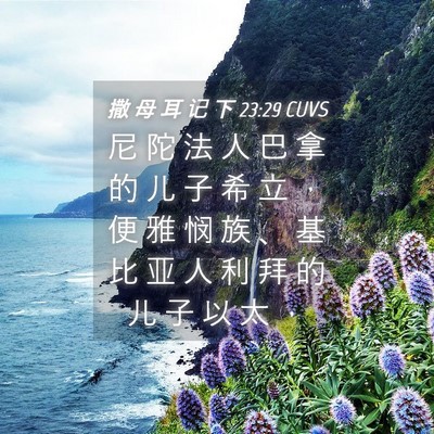 Picture 04 - 撒 母 耳 记 下 23:29 CUVS - 尼 陀 法 人 巴 拿 的 儿 子 希 立 ， - Bible Verse Picture