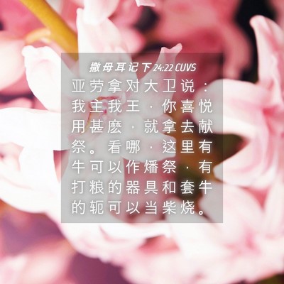 Picture 04 - 撒 母 耳 记 下 24:22 CUVS - 亚 劳 拿 对 大 卫 说 ： 我 主 我 王 - Bible Verse Picture