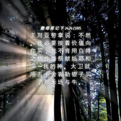 Picture 04 - 撒 母 耳 记 下 24:24 CUVS - 王 对 亚 劳 拿 说 ： 不 然 。 我 必 - Bible Verse Picture
