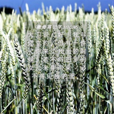 Picture 04 - 撒 母 耳 记 下 3:13 CUVS - 大 卫 说 ： 好 ！ 我 与 你 立 约 。 - Bible Verse Picture