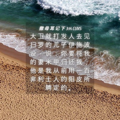 Picture 04 - 撒 母 耳 记 下 3:14 CUVS - 大 卫 就 打 发 人 去 见 扫 罗 的 儿 - Bible Verse Picture