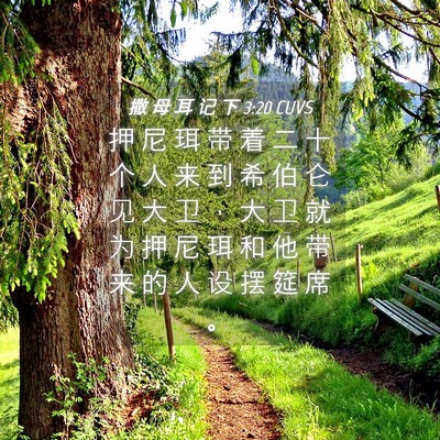 Picture 04 - 撒 母 耳 记 下 3:20 CUVS - 押 尼 珥 带 着 二 十 个 人 来 到 希 - Bible Verse Picture