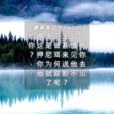 Picture 04 - 撒 母 耳 记 下 3:24 CUVS - 约 押 去 见 王 说 ： 你 这 是 做 甚 - Bible Verse Picture