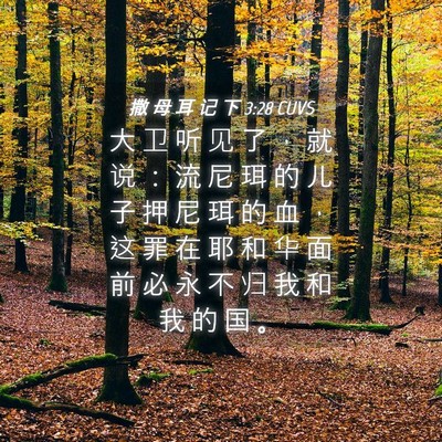 Picture 04 - 撒 母 耳 记 下 3:28 CUVS - 大 卫 听 见 了 ， 就 说 ： 流 尼 珥 - Bible Verse Picture