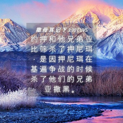 Picture 04 - 撒 母 耳 记 下 3:30 CUVS - 约 押 和 他 兄 弟 亚 比 筛 杀 了 押 - Bible Verse Picture