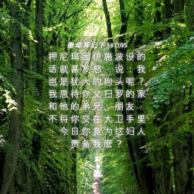Picture 04 - 撒 母 耳 记 下 3:8 CUVS - 押 尼 珥 因 伊 施 波 设 的 话 就 甚 - Bible Verse Picture