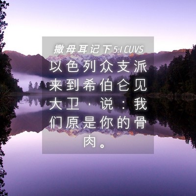Picture 04 - 撒 母 耳 记 下 5:1 CUVS - 以 色 列 众 支 派 来 到 希 伯 仑 见 - Bible Verse Picture