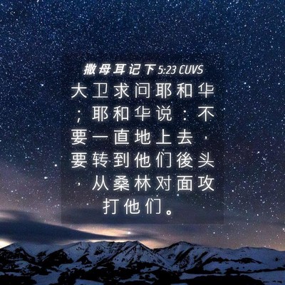Picture 04 - 撒 母 耳 记 下 5:23 CUVS - 大 卫 求 问 耶 和 华 ； 耶 和 华 说 - Bible Verse Picture