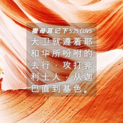 Picture 04 - 撒 母 耳 记 下 5:25 CUVS - 大 卫 就 遵 着 耶 和 华 所 吩 咐 的 - Bible Verse Picture