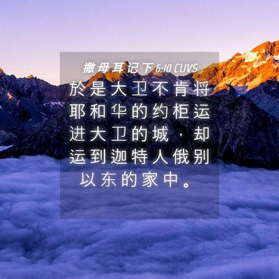 Picture 04 - 撒 母 耳 记 下 6:10 CUVS - 於 是 大 卫 不 肯 将 耶 和 华 的 约 - Bible Verse Picture