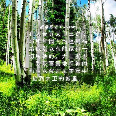 Picture 04 - 撒 母 耳 记 下 6:12 CUVS - 有 人 告 诉 大 卫 王 说 ： 耶 和 华 - Bible Verse Picture