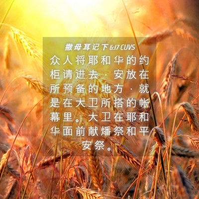 Picture 04 - 撒 母 耳 记 下 6:17 CUVS - 众 人 将 耶 和 华 的 约 柜 请 进 去 - Bible Verse Picture