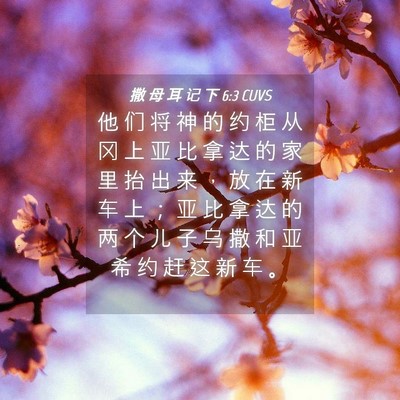 Picture 04 - 撒 母 耳 记 下 6:3 CUVS - 他 们 将 神 的 约 柜 从 冈 上 亚 比 - Bible Verse Picture