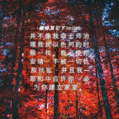 Picture 04 - 撒 母 耳 记 下 7:11 CUVS - 并 不 像 我 命 士 师 治 理 我 民 以 - Bible Verse Picture