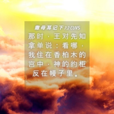 Picture 04 - 撒 母 耳 记 下 7:2 CUVS - 那 时 ， 王 对 先 知 拿 单 说 ： 看 - Bible Verse Picture