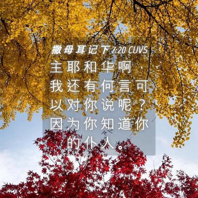 Picture 04 - 撒 母 耳 记 下 7:20 CUVS - 主 耶 和 华 啊 ， 我 还 有 何 言 可 - Bible Verse Picture