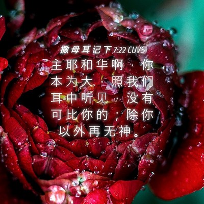 Picture 04 - 撒 母 耳 记 下 7:22 CUVS - 主 耶 和 华 啊 ， 你 本 为 大 ， 照 - Bible Verse Picture