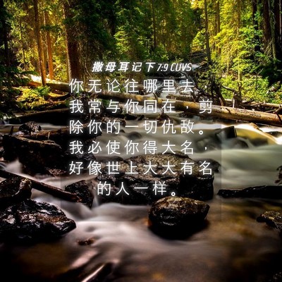 Picture 04 - 撒 母 耳 记 下 7:9 CUVS - 你 无 论 往 哪 里 去 ， 我 常 与 你 - Bible Verse Picture