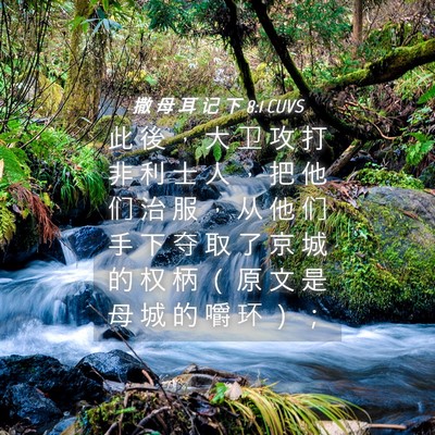 Picture 04 - 撒 母 耳 记 下 8:1 CUVS - 此 後 ， 大 卫 攻 打 非 利 士 人 ， - Bible Verse Picture