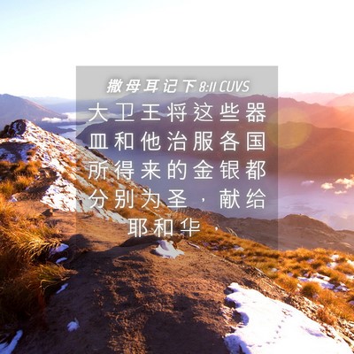 Picture 04 - 撒 母 耳 记 下 8:11 CUVS - 大 卫 王 将 这 些 器 皿 和 他 治 服 - Bible Verse Picture