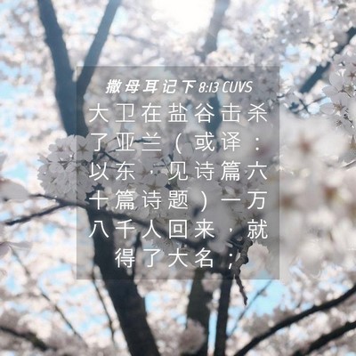 Picture 04 - 撒 母 耳 记 下 8:13 CUVS - 大 卫 在 盐 谷 击 杀 了 亚 兰 （ 或 - Bible Verse Picture