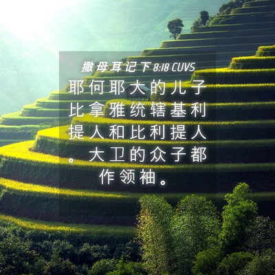 Picture 04 - 撒 母 耳 记 下 8:18 CUVS - 耶 何 耶 大 的 儿 子 比 拿 雅 统 辖 - Bible Verse Picture