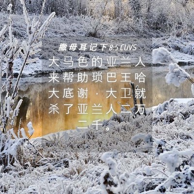 Picture 04 - 撒 母 耳 记 下 8:5 CUVS - 大 马 色 的 亚 兰 人 来 帮 助 琐 巴 - Bible Verse Picture