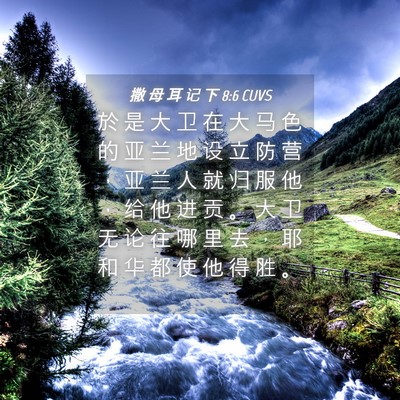 Picture 04 - 撒 母 耳 记 下 8:6 CUVS - 於 是 大 卫 在 大 马 色 的 亚 兰 地 - Bible Verse Picture