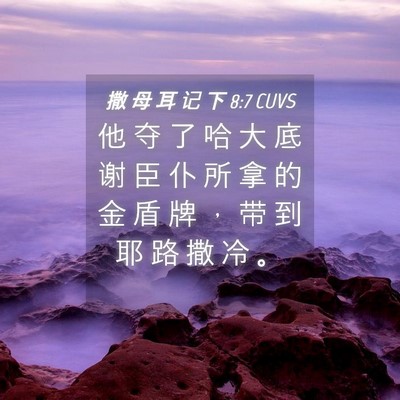 Picture 04 - 撒 母 耳 记 下 8:7 CUVS - 他 夺 了 哈 大 底 谢 臣 仆 所 拿 的 - Bible Verse Picture