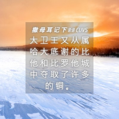 Picture 04 - 撒 母 耳 记 下 8:8 CUVS - 大 卫 王 又 从 属 哈 大 底 谢 的 比 - Bible Verse Picture