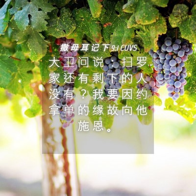 Picture 04 - 撒 母 耳 记 下 9:1 CUVS - 大 卫 问 说 ： 扫 罗 家 还 有 剩 下 - Bible Verse Picture