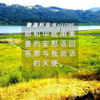 Picture 04 - 撒 迦 利 亚 书 1:13 CUVS - 耶 和 华 就 用 美 善 的 安 慰 话 回 - Bible Verse Picture
