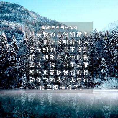 Picture 04 - 撒 迦 利 亚 书 1:6 CUVS - 只 是 我 的 言 语 和 律 例 ， 就 是 - Bible Verse Picture