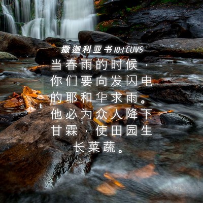 Picture 04 - 撒 迦 利 亚 书 10:1 CUVS - 当 春 雨 的 时 候 ， 你 们 要 向 发 - Bible Verse Picture