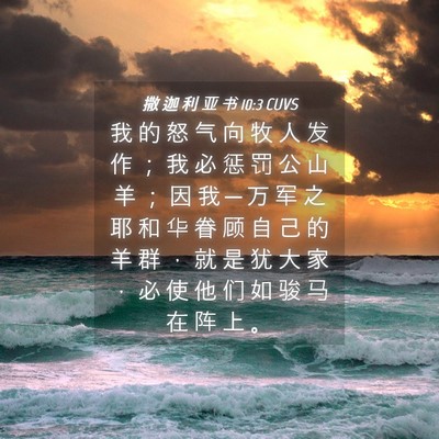 Picture 04 - 撒 迦 利 亚 书 10:3 CUVS - 我 的 怒 气 向 牧 人 发 作 ； 我 必 - Bible Verse Picture