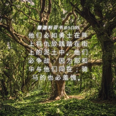 Picture 04 - 撒 迦 利 亚 书 10:5 CUVS - 他 们 必 如 勇 士 在 阵 上 将 仇 敌 - Bible Verse Picture